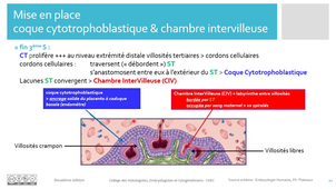 8. Placenta_Membranes_cours 1