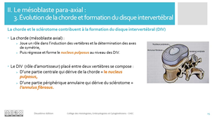 6. Organogenese_Mesoblaste_hybridium_partie_1 - cours - ELM - Deuxième édition.mp4