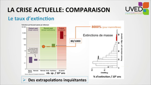 Les grandes crises de la biodiversité.mp4