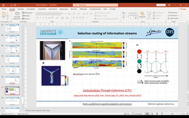 MasterSorbonne_BrainOscillations.mp4
