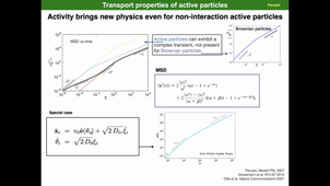 Introduction to and challenges in Active Matter - Fernando Peruani (Part 1)