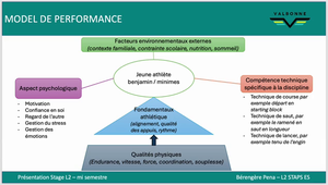 pena_berengere_presentation_mi_semestre