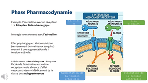 Terminale Santé - Session 12.1 - Cours Pharmacie