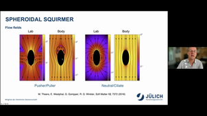 Squirmers from hydrodynamic propulsion to active turbulence - Gerhard Gompper
