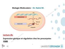 LECTURE 2b - EXPRESSION GENIQUE ET REGULATION CHEZ LES PROCARYOTES OK.mp4