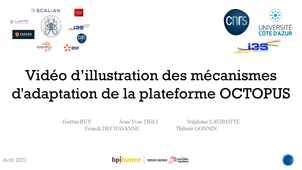 Vidéo d'illustration des mécanismes d'adaptation de la plateforme OCTOPUS