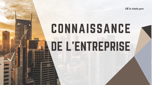 Intro connaissance de l'entreprise (UE à visée pro)