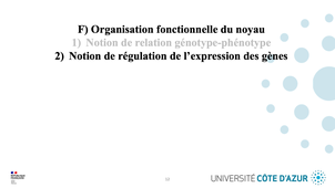 GILSON - Biologie cellulaire - Partie F : Organisation fonctionnelle du noyau 2/3