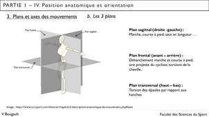 Capsule_6_Partie 1.IV. Position et orientation_Mouvement