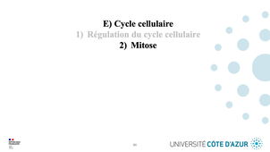 GILSON - Biologie cellulaire - Partie E : Cycle cellulaire 2/5