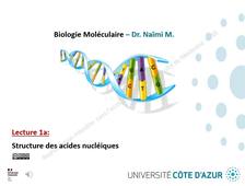 LECTURE 1a - STRUCTURE DES ACIDES NUCLEIQUES.mp4