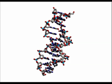 ADN