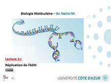 LECTURE 1c - REPLICATION DE L'ADN OK.mp4