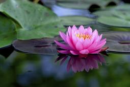 L'imparfait sanskrit