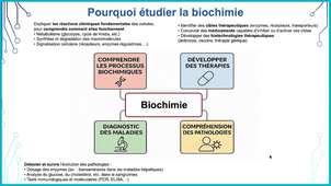 Terminale Santé - Session 9.1 - Cours Biochimie