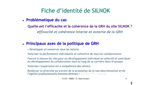 CAL3 - MRH2 - 09C - Analyse Silnok - Mix social et problematique.mp4