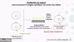 LAS 03.11 Cours LAS 2025-2026.mp4