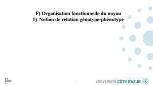 GILSON - Biologie cellulaire - Partie F : Organisation fonctionnelle du noyau 1/3