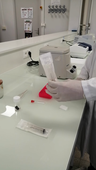 Tuto cryoextraction des anthocyanes de myrtille