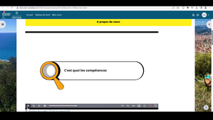 Cours Compétences Informationnelles : mode d'emploi