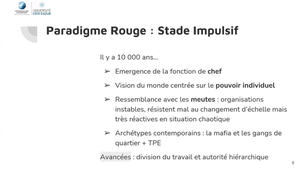 CAL3 - ARM - 46 - Stade impulsif.mp4