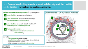 2. CHEC PASS LAS Embryologie S2 - cours