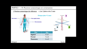 Capsule_5b_Partie 1.IV.Position anatomique de référence et axes