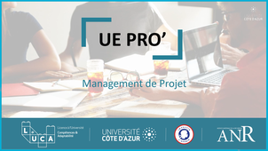 UE PRO-Management de projet