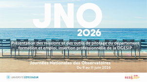 Présentation des missions et des outils de pilotage du département formation et emploi, insertion professionnelle de la DGESIP
