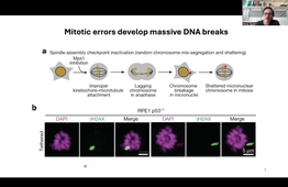 CRT UE38 Part 3 Chromothripsis by Herve Techer