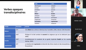 MASTER RSEF VMUPR 44 SEMINAIRE VOCABULAIRE