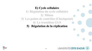 GILSON - Biologie cellulaire - Partie E : Cycle cellulaire 5/5