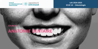 25.02 Cours LAS 2024-2025 20250225.mp4