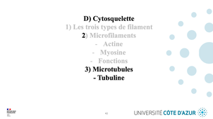 GILSON - Biologie cellulaire - Partie D : Cytosquelette 3/4