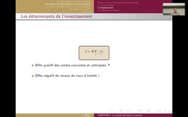 Macro1_2025_S6.mp4