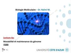 LECTURE 4a - MUTABILITE ET MAINTENANCE DU GENOME.mp4