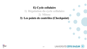 GILSON - Biologie cellulaire - Partie E - Cycle cellulaire 3-5.mp4