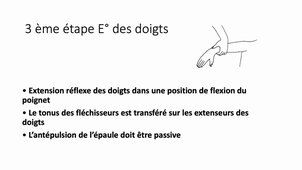 17 - Facilitations - Doigt.mp4