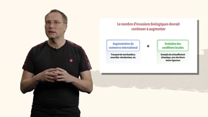 lesinvasionsbiologiques.mp4