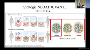 20241010_Traitements systémiques et facteurs prédictifs_Exemple du mélanome.mp4