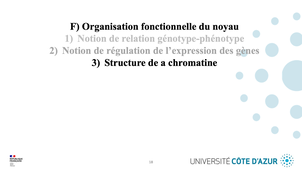 GILSON - Biologie cellulaire - Partie F - Organisation fonctionnelle du noyau 3/3