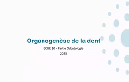17.03 Cours LAS 2024-2025 20250317