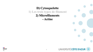 GILSON - Biologie cellulaire - Partie D :  Cytosquelette 2/4