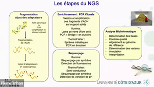 LAS.H 07.10 Cours LAS 2025-2026.mp4