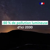 StrategieNationaleBiodiversite2030.mp4