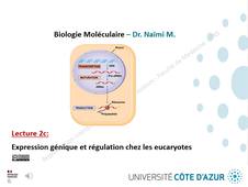 LECTURE 2c - EXPRESSION GENIQUE ET REGULATION CHEZ LES EUCARYOTES OK.mp4