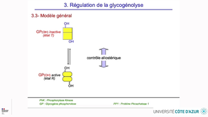 HIN_BIOCHIMIE_2.mp4