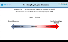 ComputationalNeurosciences_Session10.mp4