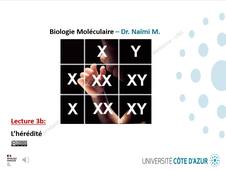 LECTURE 3b - HEREDITE OK.mp4