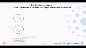 UE1 - ECUE1 - BIOLOGIE CELLULAIRE - Eric GILSON - 13/09/22